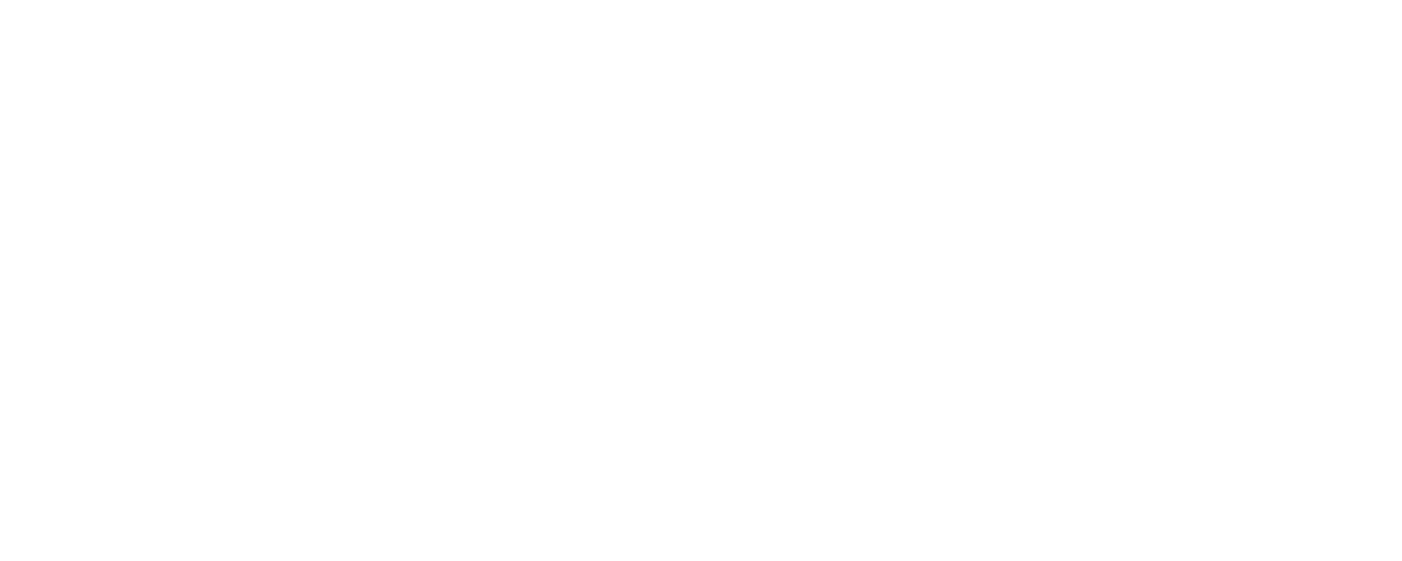 sommerset council logo